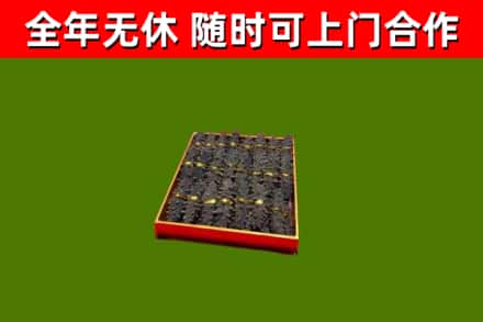 枝江市回收海参